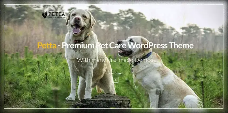 Petta - Thème WordPress Premium pour le toilettage des animaux