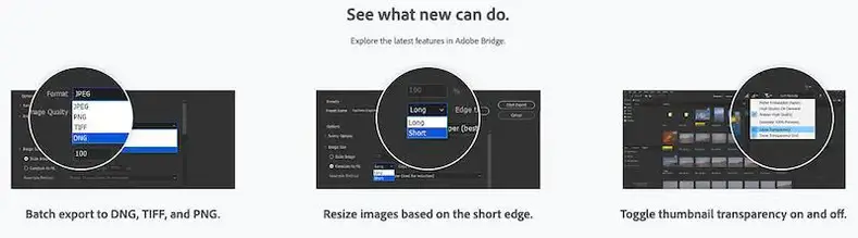 Seneste Adobe Bridge -funktioner