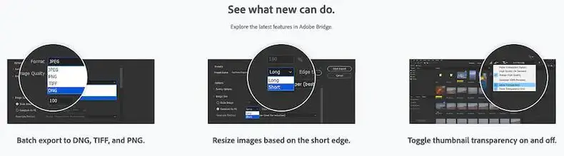 Fitur Adobe Bridge Terbaru