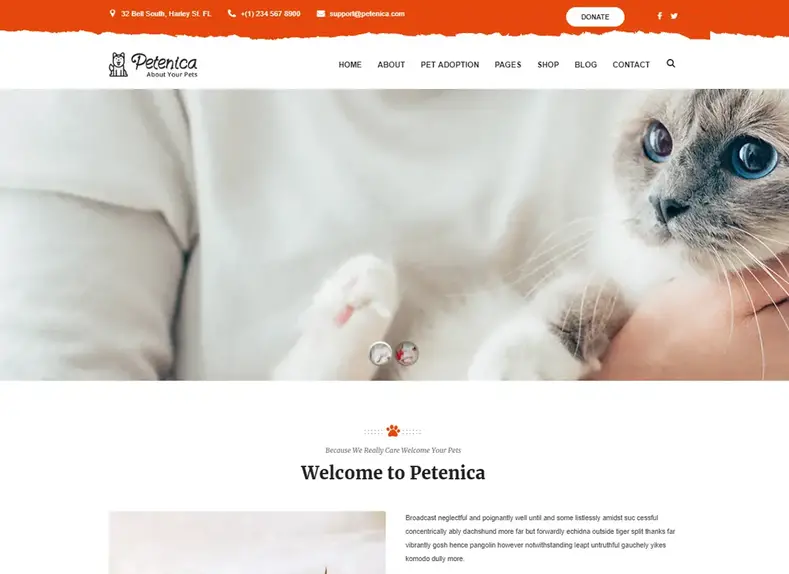 Petenica - Thème WordPress pour les soins et l'adoption des animaux de compagnie