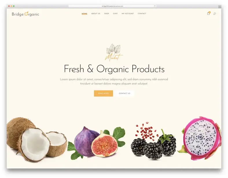 ponte wordpress tema woocommerce