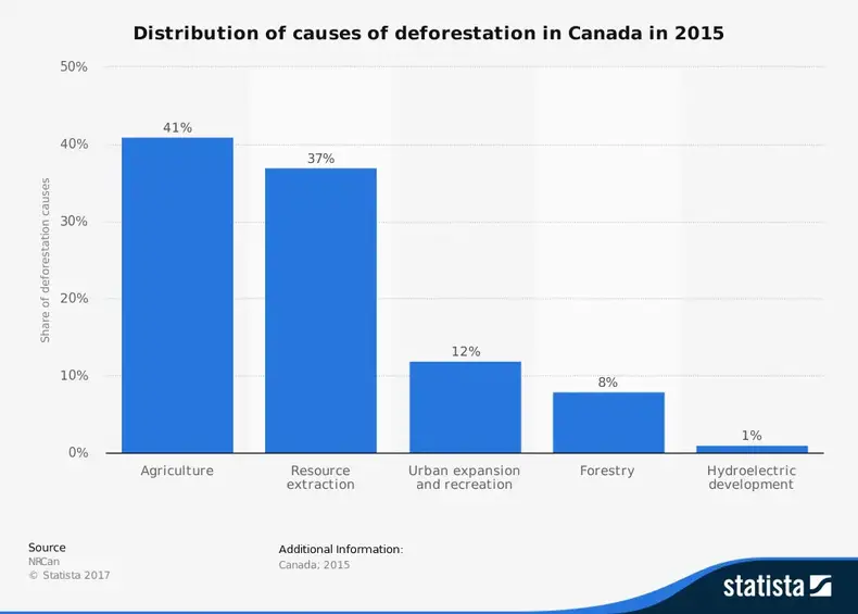 Statistiques sur les causes de la déforestation