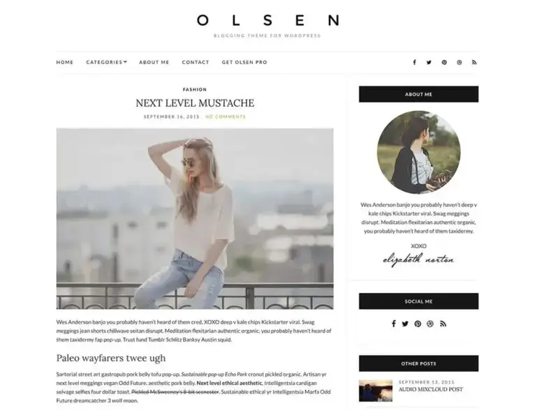 olsen-light-wordpress-tema