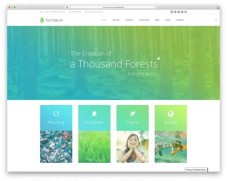 thème WordPress vert