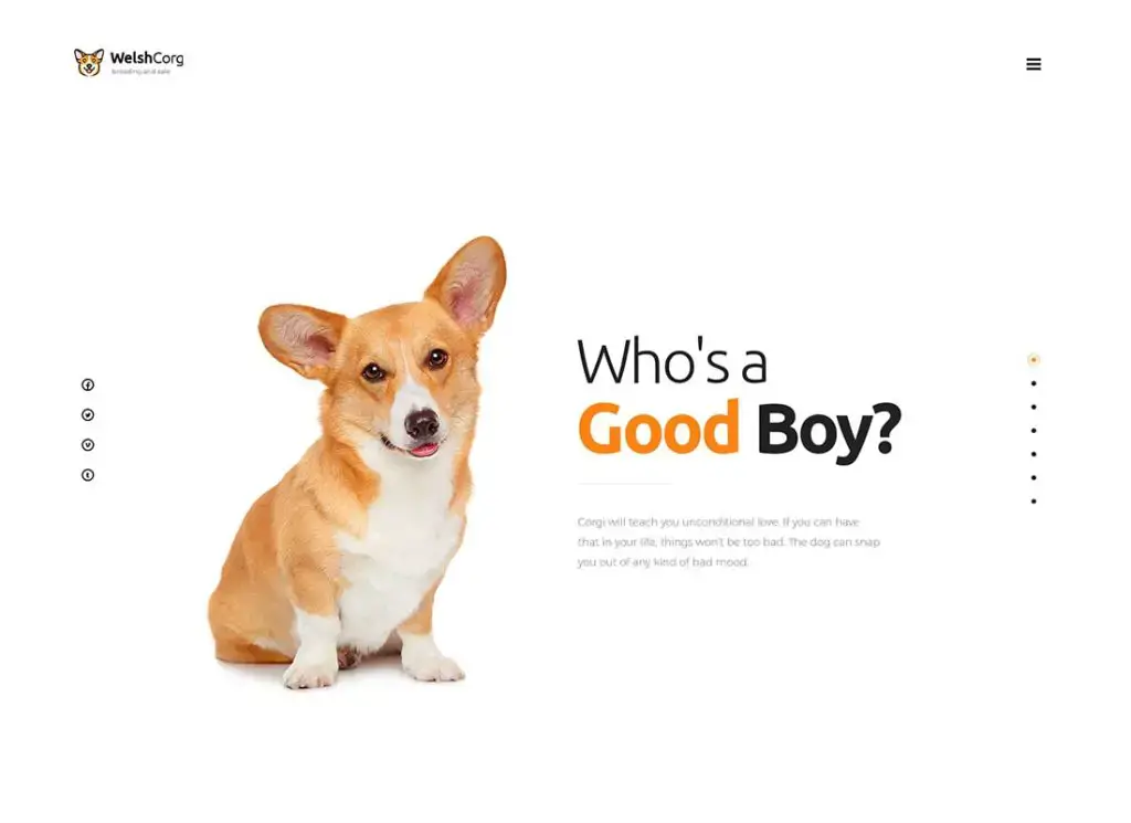 Galce corgi |  Köpeklerin yetiştirilmesi ve satışı için WordPress teması