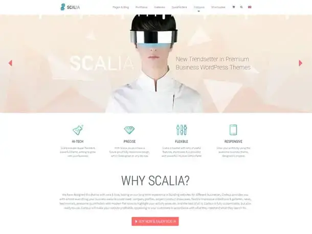 scalia-wordpress-teması