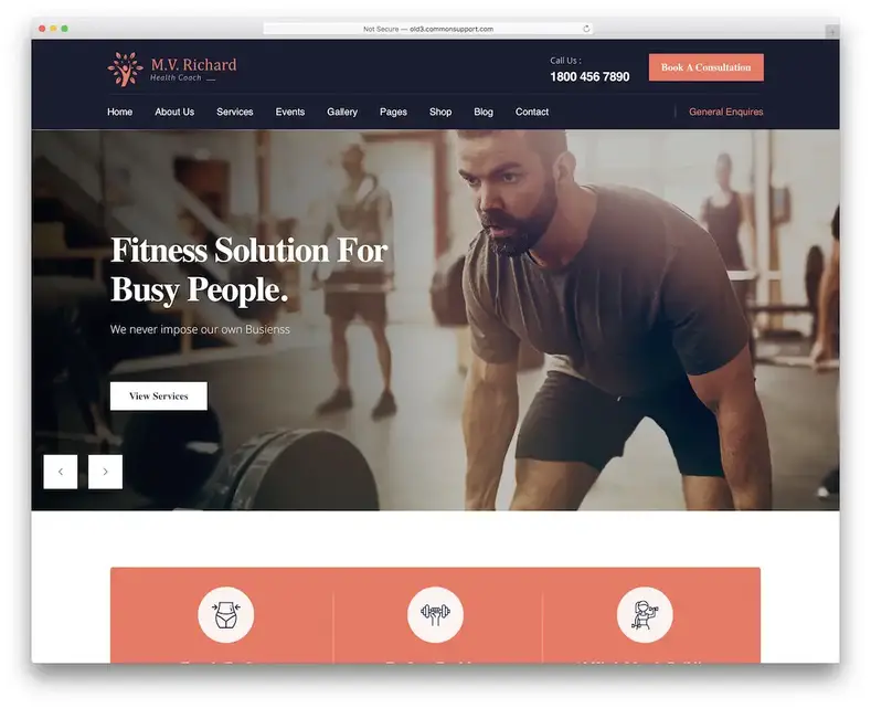 tema wordpress fitness mv richard