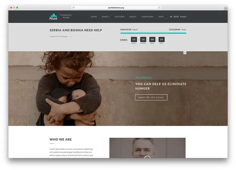 pico-minimal-charity-theme-wordpress