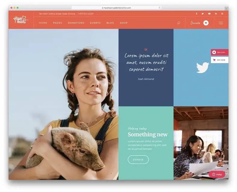 tema wordpress ter coração crowdfunding