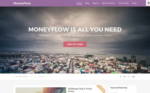 MoneyFlow-Tema