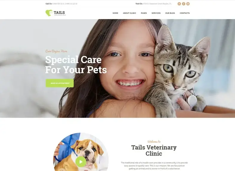 Files d'attente |  Thème WordPress pour clinique vétérinaire, soins pour animaux et magasin