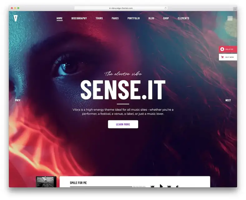 ambiance dj thème wordpress