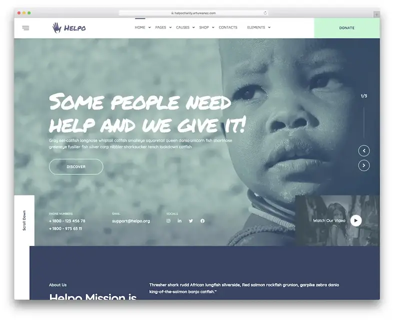 tema wordpress de angariação de fundos helpo