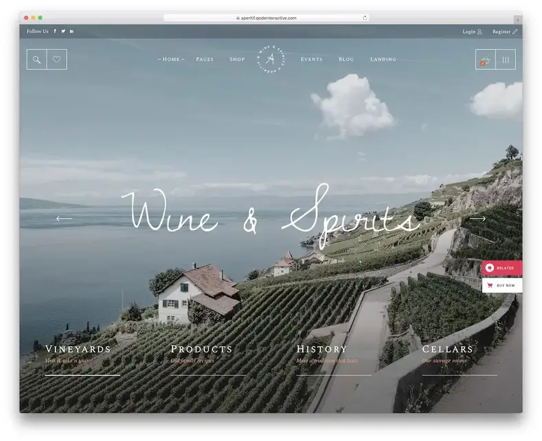 modèle de site Web de vin d'apéritif
