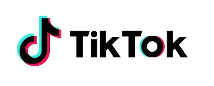 Platform media sosial TikTok