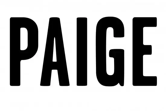 Paige şirket logosu